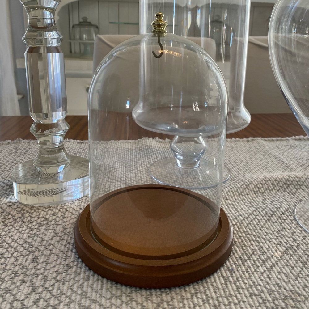 Vintage Glass Bell Jar Display